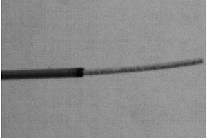 分子印迹整体柱固相微萃取纤维的制备方法