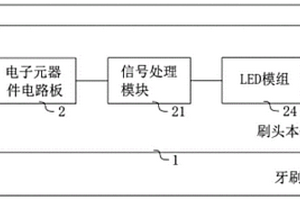牙刷刷头及牙刷