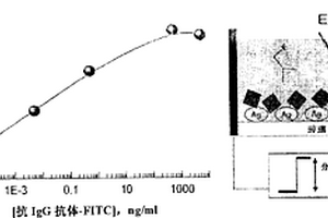 等离激元电学