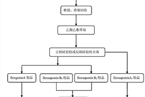 从毛冬青中制备四种三萜类化合物对照品的方法