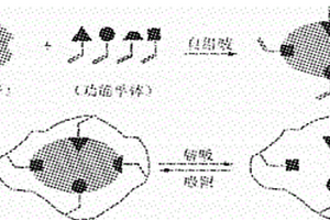 分子印迹吸附萃取搅拌棒的制备方法及其应用