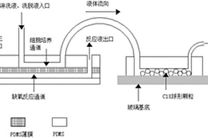 多通道微流控-固相萃取-质谱联用装置及制备方法