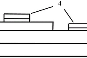 Mg掺杂增强过渡金属硫化物基可见光探测器及其制备方法