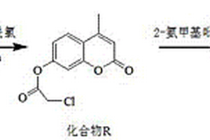 基于香豆素类的接力响应型荧光分子探针及其制备方法和用途