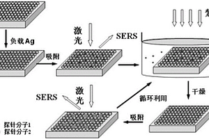 高灵敏性可循环表面增强拉曼光谱基底制备方法
