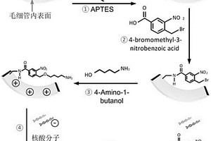 光调控的用于核酸提取的功能化毛细管及其制备方法与应用
