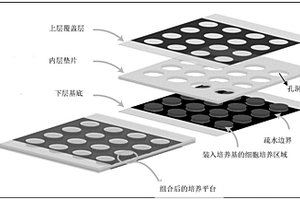 新型细胞培养平台及其制作方法