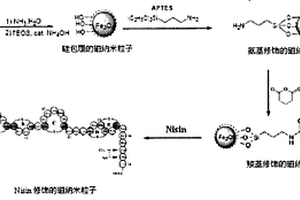 乳酸链球菌素修饰的磁性纳米粒子的制备方法及应用