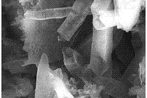 钴离子掺杂的氮化碳空心四棱柱及其制备方法