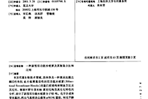 新型双功能水蛭素及其制备方法和应用