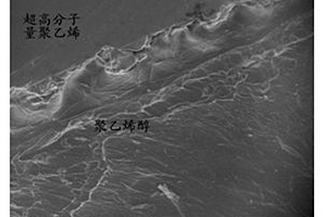 仿生软骨材料与硬面基底结合的仿生材料的制备工艺
