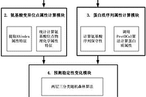 预测氨基酸变异对蛋白质结构稳定性影响的系统及其方法