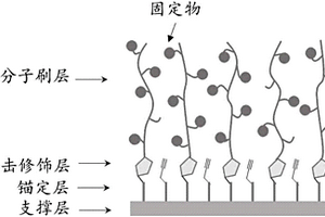 生物传感三维芯片及其制备方法