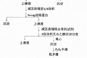 具有α-1,3-葡聚糖主链的毛蚶多糖及其制备方法和用途