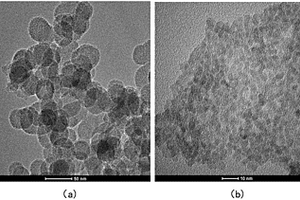 水溶性铽掺杂氟化镧纳米粒子及其制备方法