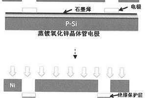 石墨烯晶体管及其生物传感器的制作与应用方法