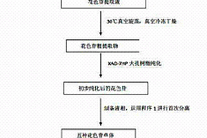 从葡萄皮中分离制备五种高纯度花色苷单体的方法