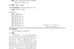 CD13靶向肽NGR及其应用