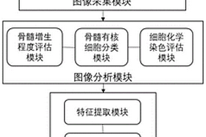 基于骨髓细胞形态学的血液疾病人工智能辅助诊断系统