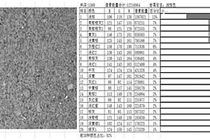 利用录井现场岩屑快速、准确命名所对应岩石名称的方法