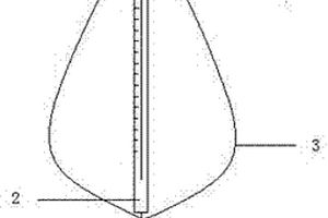 具有定位结构的微量进样器