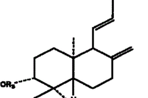15-亚甲基取代穿心莲内酯衍生物在制备抗乙型肝炎药物中的用途