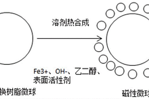 微米级均粒生物磁性微球及其制备方法