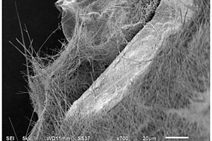 钛酸钠纳米线-泡沫镍复合材料及其制备方法和应用