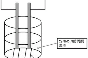 钙钛矿结构氮氧化合物光催化分解水阳极材料及其制备方法