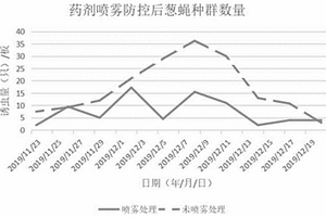 葱蝇成虫的防控方法