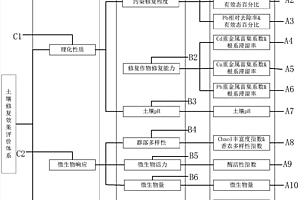 基于植物、土壤、微生物的重金属污染土壤修复效果综合评价方法