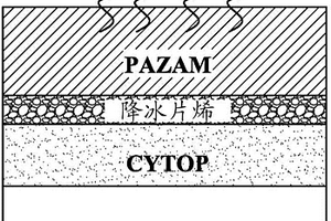 使用图案化疏水性表面进行的自组装图案化