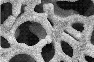 锂电池用负载二硫化钼的生物基氮掺杂多孔碳负极材料及其制备方法