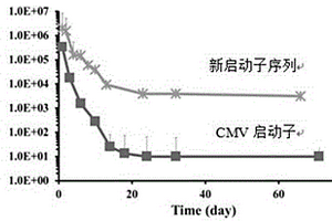 哺乳动物细胞表达启动子及其制造和使用方法