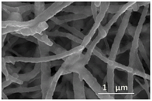 二氧化钛、氧化铜与钛酸钴复合物纳米纤维及其制备方法