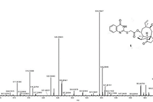 截短侧耳素衍生物及其应用