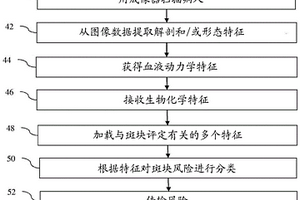 医学成像中的斑块易损性评定
