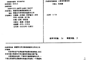 碳燃料元件及制备碳燃料元件的方法