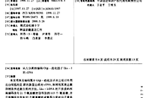 从人分离的编码C6β-趋化因子Lkn-1的cDNA