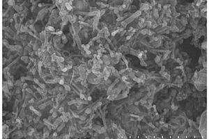 基于N<Sub>2</Sub>等离子刻蚀的立体式多孔氮掺杂碳纳米管电催化剂及其制备方法