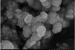 用于固体氧化物燃料电池阴极的纳米核壳结构催化剂及其制备方法和用途