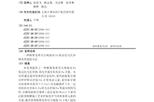核聚变堆用大吨级高Ta低活化马氏体钢及其制造方法