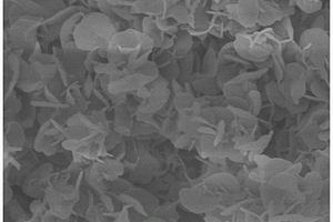 Co掺杂NiCr-LDHs泡沫镍纳米片的制备方法及用途