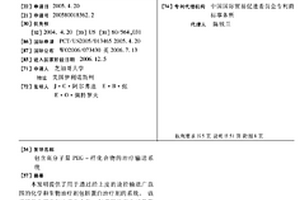 包含高分子量PEG-样化合物的治疗输送系统