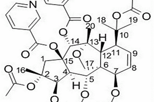 曼西醇类化合物的提取分离方法
