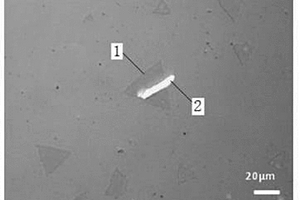 GaSe/MoS<Sub>2</Sub>异质结的制备方法