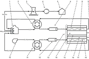 面向波动电能消纳的固体氧化物电解制氢系统动态建模方法