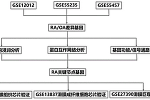 类风湿性关节炎的潜在免疫分子及信号通路的筛选方法