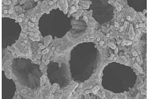 多孔硅基三氧化钨纳米棒复合结构气敏传感器元件的制备方法