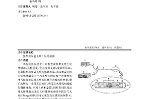 新型双参量光纤生化传感器